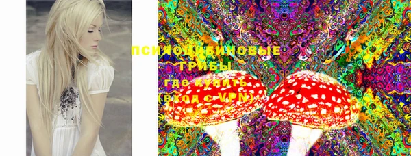 прущие крисы Беломорск
